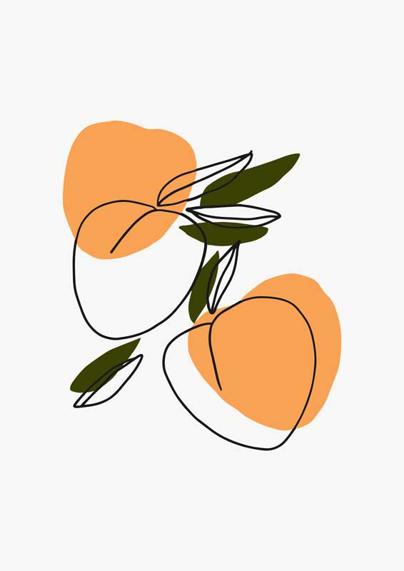 蒲公英研究所免费进入未满